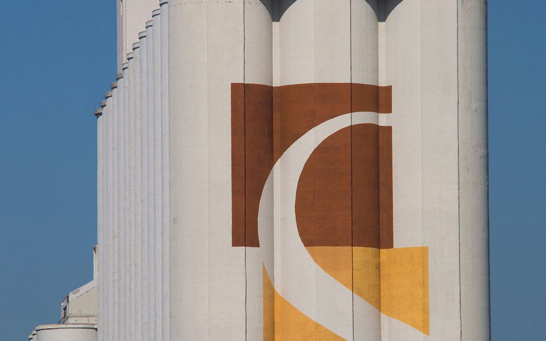 O Nascimento da Silos de Leixões
