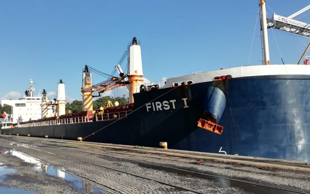 Silos de Leixões recebe o maior navio de sempre