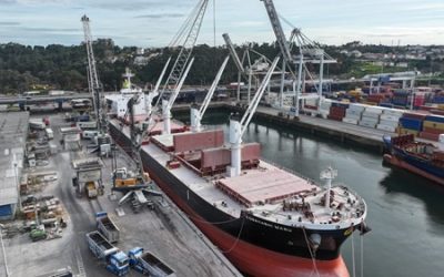 Novo Recorde de Descarga – 51.500 toneladas
